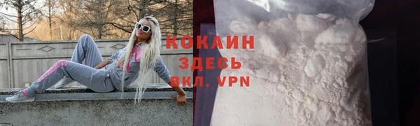 прущие грибы Наволоки