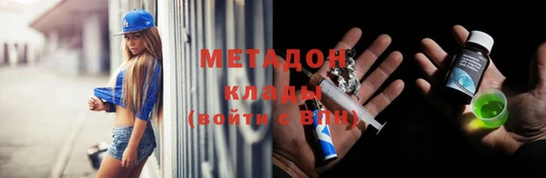 прущие грибы Наволоки
