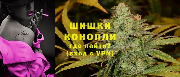 дмт Надым