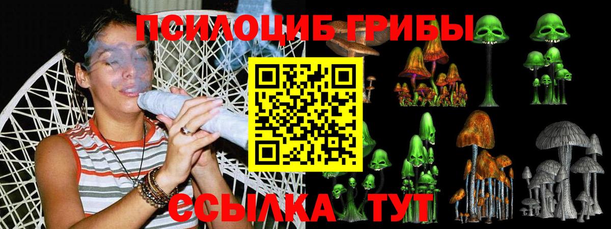 Псилоцибиновые грибы GOLDEN TEACHER Нижневартовск