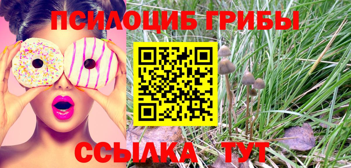 Псилоцибиновые грибы ЛСД Нижневартовск